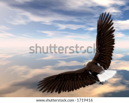Pictures Of Eagles Soaring. Eagle Soaring Over Clouds