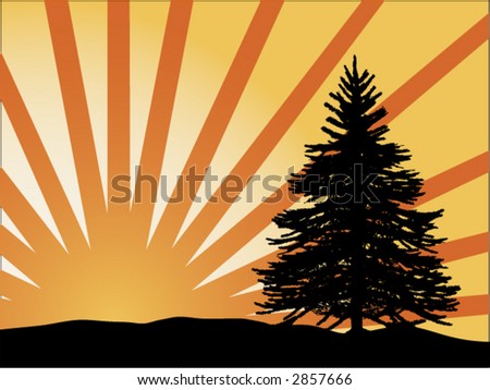 pine tree silhouette clip art. stock vector : Pine tree