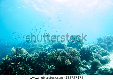 abstract underwater scene sun rays in deep blue sea