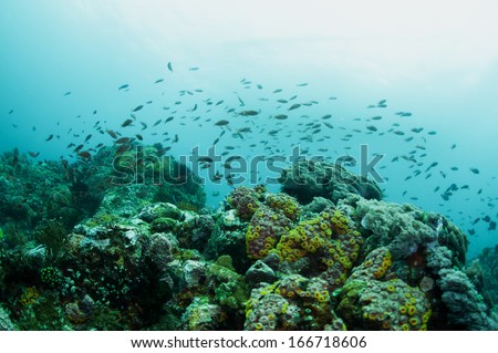 abstract underwater scene sun rays in deep blue sea