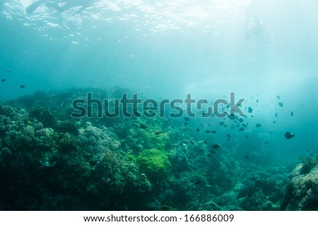 Abstract underwater scene sun rays in deep blue sea with divers