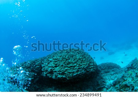 Absolute underwater scene in Dimakya island, Palawan.