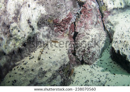 The Underwater Mountain Below The Hot Spring, The Different Density Of 