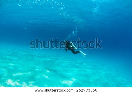 Abstract underwater scene, Palawan, Philippines.