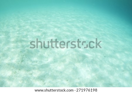 Beautiful underwater white sand bottom