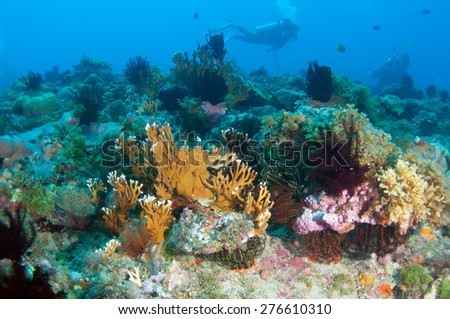 Abstract underwater scene, colorful coral reef.