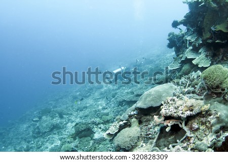 Abstract underwater scene of Lembongan, Nusa Lembongan Island, Bali, Indonesia.