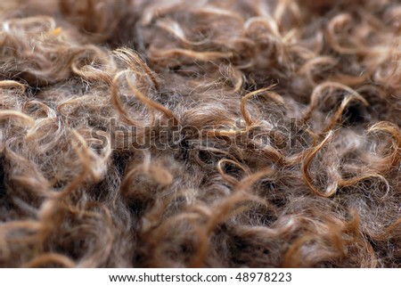 Texture of the natural alpaca hair