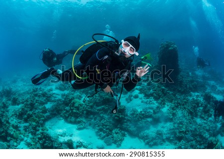 The diver take photo of octopus at the bottom of the Red Sea