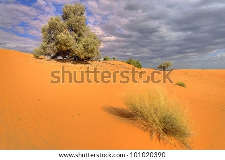 Kalahari sand dune, Loch Broom, Askam, Northern Cape, south africa