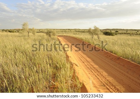 Kalahari Desert View, Northern Cape, South Africa. Sand track through the desert