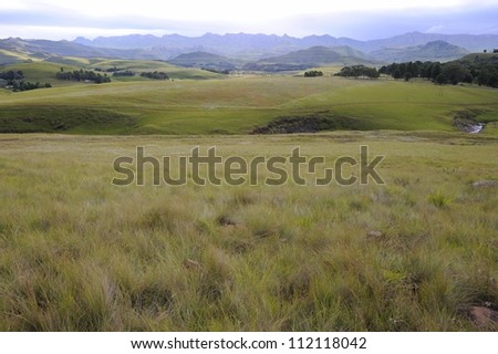 Mountain grasslands, Umzimkulu valley, Underberg, Kwazulu Natal, South Africa