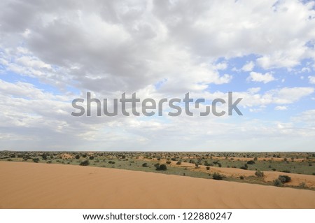 Dune view, Kalahari desert, northern cape, South africa