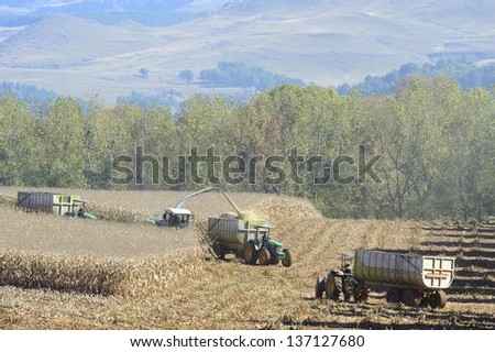 UNDERBERG, SOUTH AFRICA -MAY 1; Industrial scale Agriculture. Contractors reap maize on May 1, 2013, Underberg, Kwazulu Natal, South Africa. The crop is made into silage for winter feed for dairy cows