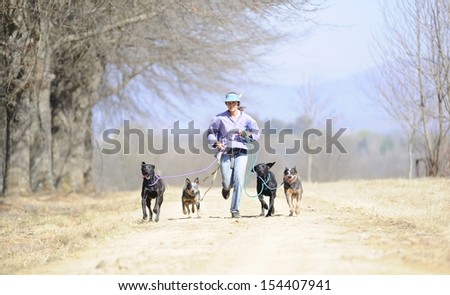 Running with the pack.  Dog trainer exercises with  Australian Cattle dogs and Ridgebacks. Kwazulu Natal, South Africa