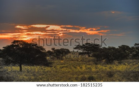 Dusk in the Kalahari desert, Grootkolk, Kgalagadi transfrontier Park, Northern Cape, South Africa, multiple exposure image stack.