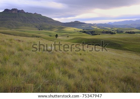 dappled sunlight peeps through cloud above rolling grasslands in the foothills of the drakensberg (Umzimkulu valley). the montane grassland is a rich biology of  diverse forbs, shrubs and grasses.