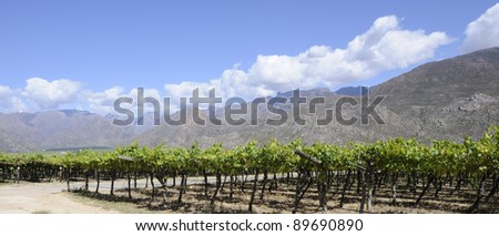 hex river valley. wine farms in the hex river valley,western cape,south africa
