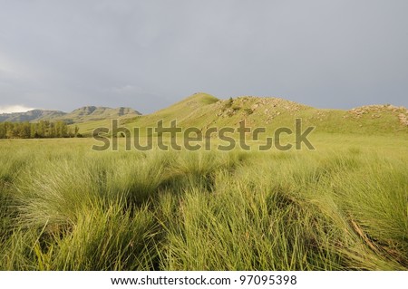 drakensberg mountain grasslands, umzimkulwana valley,underberg,kwazulu natal, south africa
