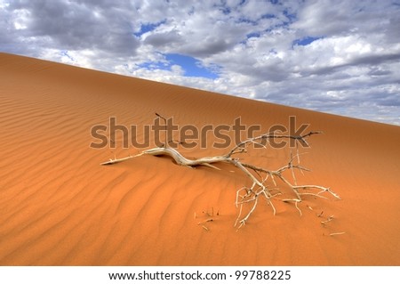 Kalahari dunes, Loch Broom, Askam, northern Cape