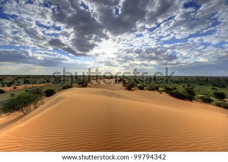 kalahari sand dune, loch broom,askam, northern cape, south africa. hdr exposure stack