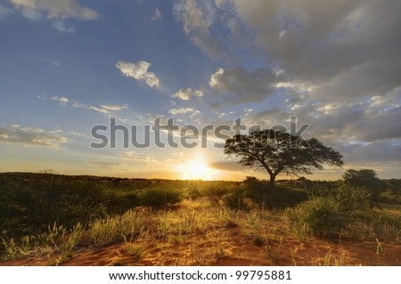 Kalahari sunset. 9 image exposure stack. Loch Broom, Askam, Northern Cape,