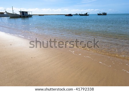 Praia do Forte - Bahia - Northeast of Brazil .