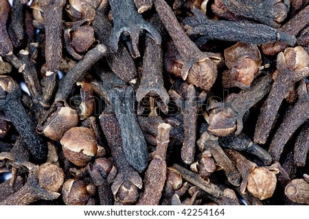 Spice Indian Clove - Background Food Ingredient .