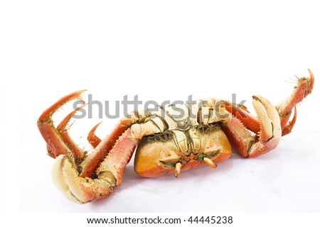 Died Crab  - delicious sea fruit food .