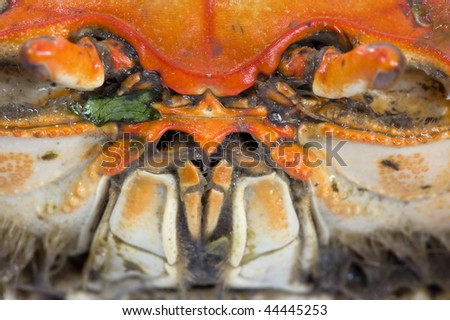 Crab Face - delicious sea fruit food .