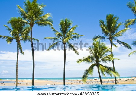 Pool and beach in the tropical place .