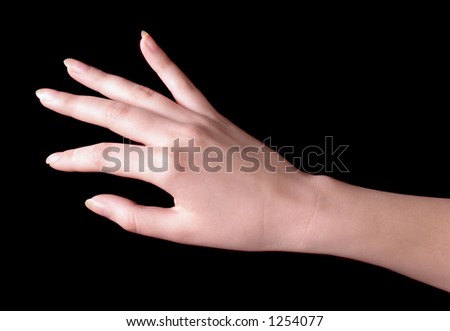 Delicate Hand Stock Photo 1254077 : Shutterstock