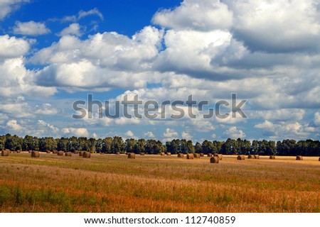 Straw bales in a field with cloudy dramatic sky, harvest concept