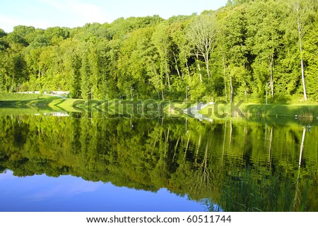 Landscape with trees reflection in the water