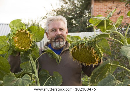 Middle-aged man with a sunflower