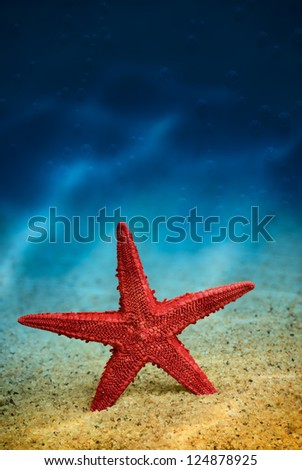 Starfish on the clean golden sand in a welcoming gesture. Underwater with air bubbles. Dark tonality. Macro.