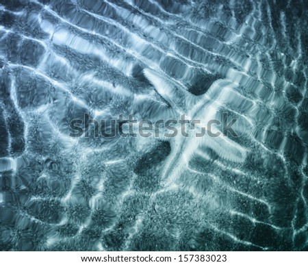 Starfish on the clean sand underwater.