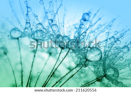 Abstract macro photo of plant seeds with water drops. Watercolor stylization.