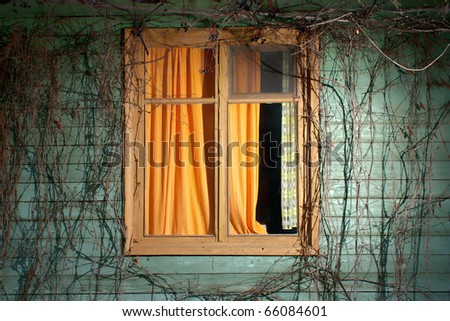 The place where spends the night the sun. An old frame with the orange curtains, surrounded with a rod of wild grapes. Night.
