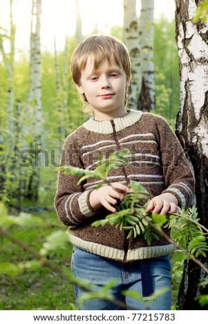 Smiling little boy in spring sunny birch sunny forest