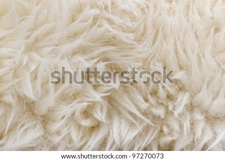 sheep texture