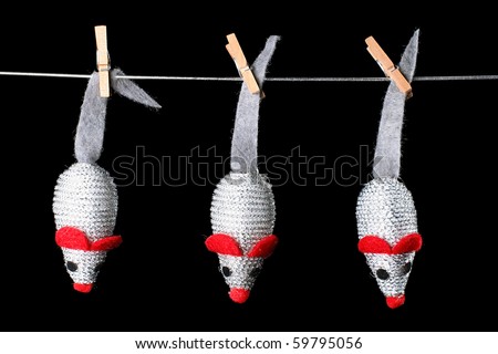 three fake toy mouses for cat hanging on a rope. isolated on black background