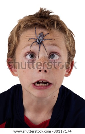 stock photo young boy cross eyed and terrified as he tries to see a giant