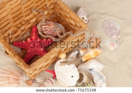 Sea souvenirs in a basket
