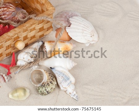 Sea souvenirs