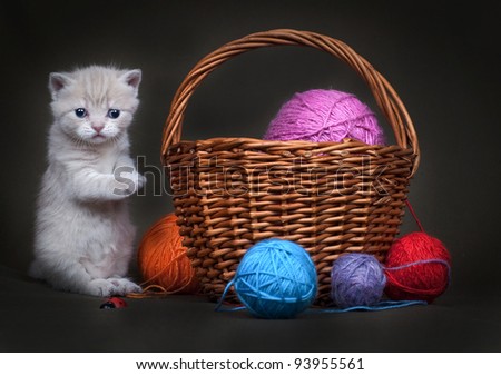 The British kitten and basket with balls of threads
