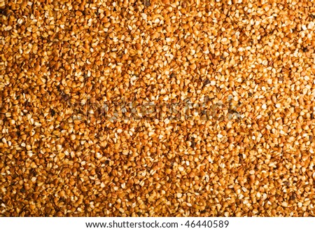 Choice Solar buckwheat groats