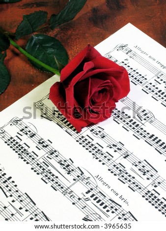 red rose lying on a music sheet
