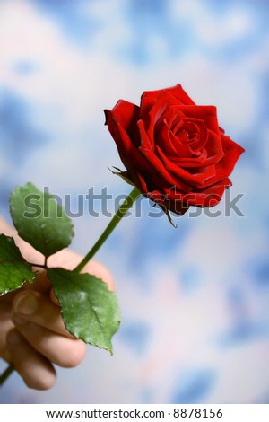 Giving Red Rose