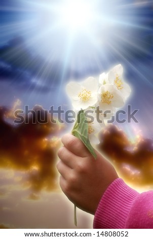 close up of the hand of a girl holding a white flower against a dramatic sky with divine light